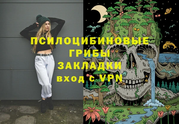 крисы Богородск
