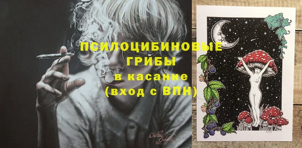 крисы Богородск