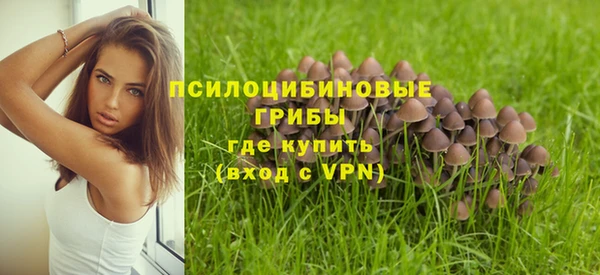 крисы Богородск