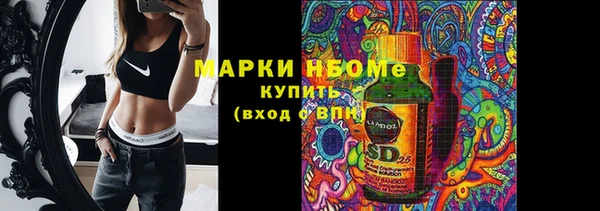 крисы Богородск