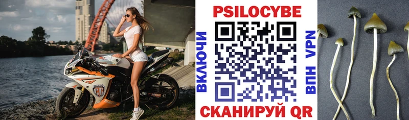 купить  сайты  Дятьково  Псилоцибиновые грибы прущие грибы 